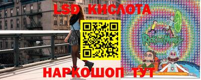 спайс Дубна