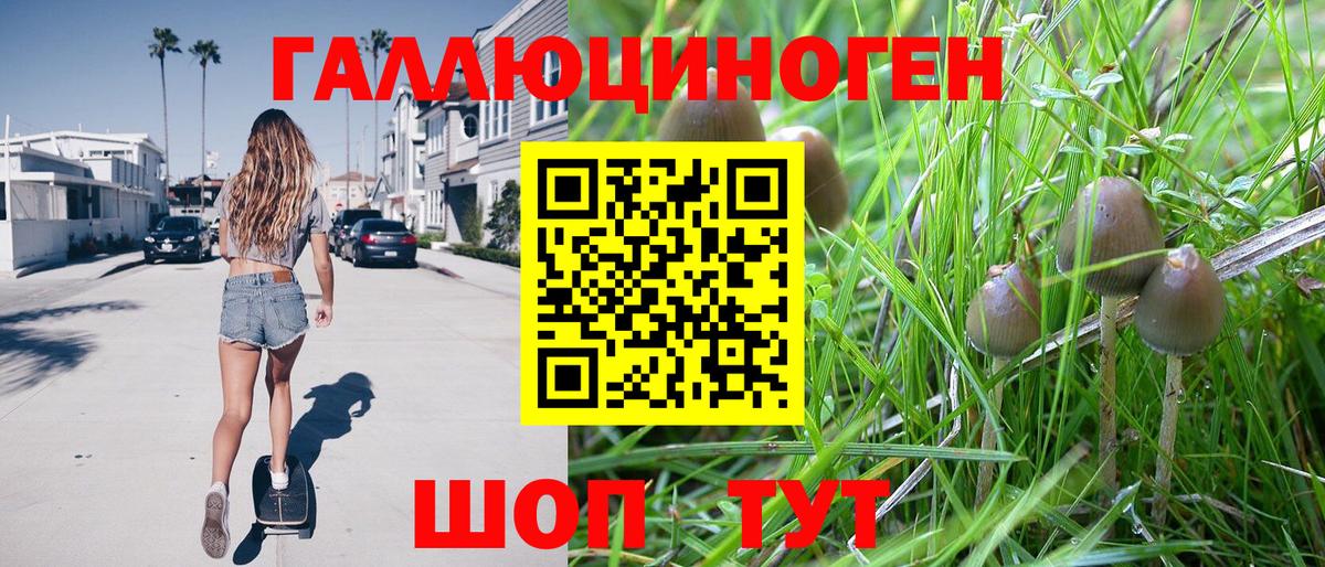 Галлюциногенные грибы GOLDEN TEACHER Мирный