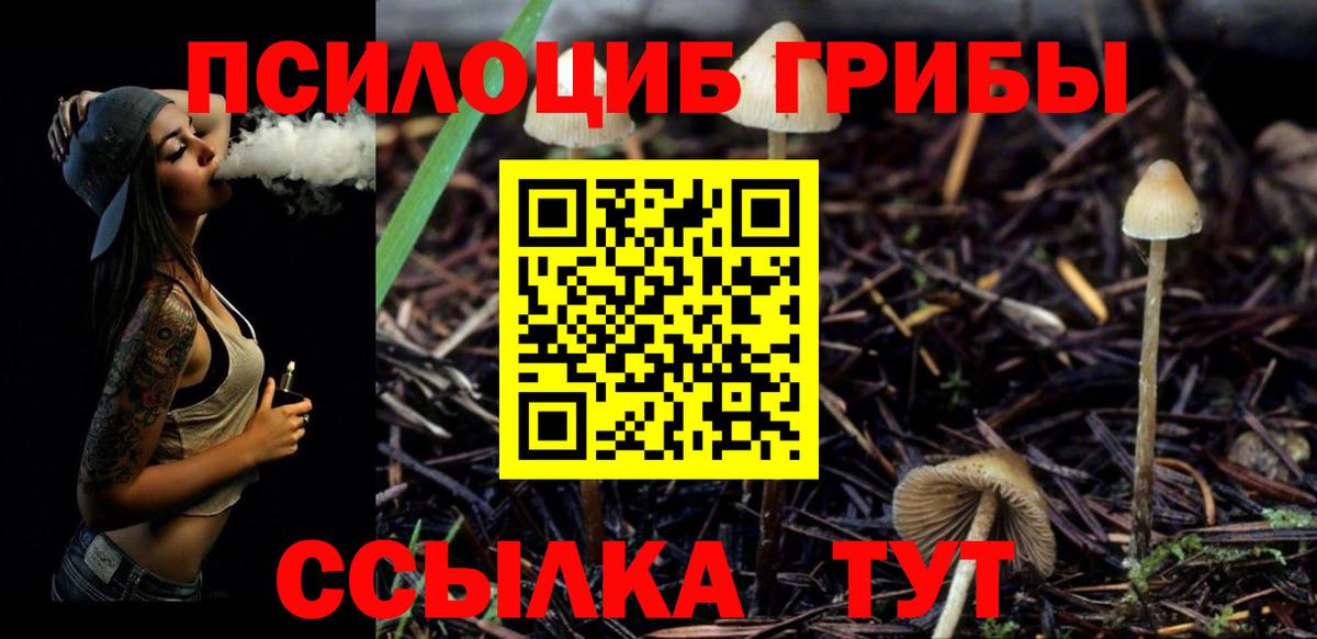 Мирный  Галлюциногенные грибы MAGIC MUSHROOMS  Вход с VPN 